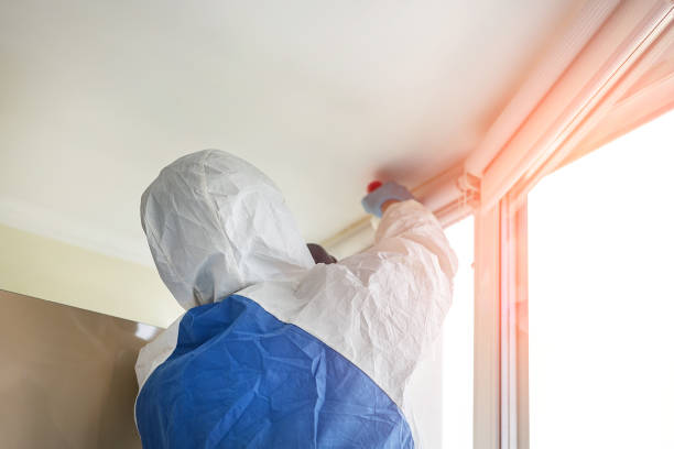 Why You Should Choose Our Mold Remediation Services in Citronelle, AL