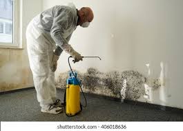 Biohazard Mold Removal in Citronelle, AL